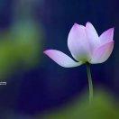 聆听（拒聊））