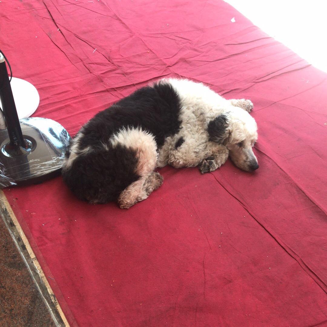 哈哈哈哈哈哈啊哈哈哈