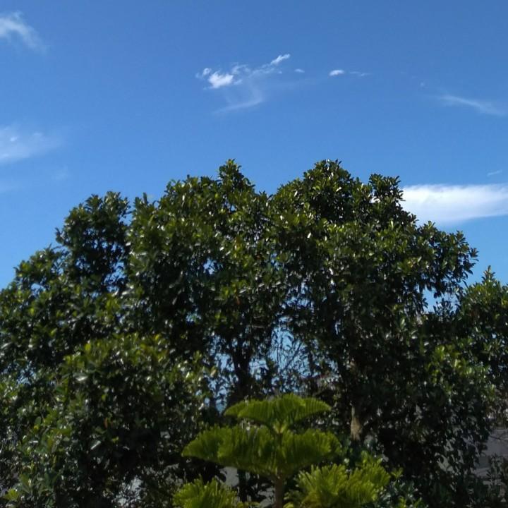 亨哥，果弟