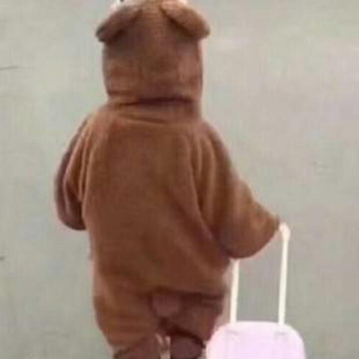 ～ꉂ  ᳐ ´ ᗜ `   ᳐ฅ ִֶָ