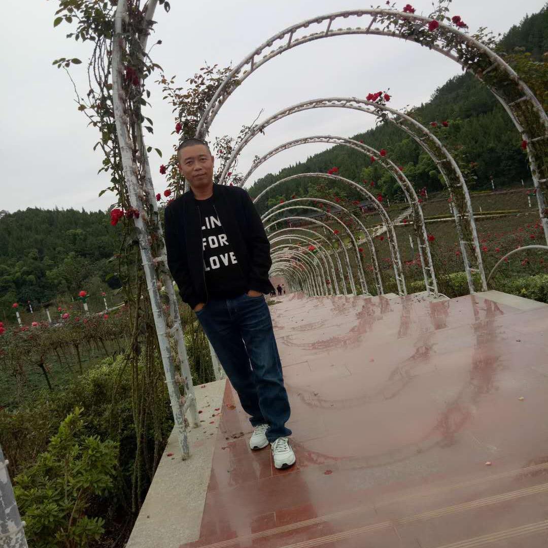 忘记过去从头再来