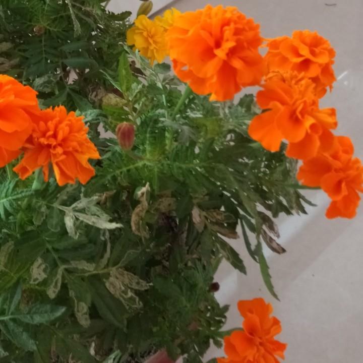🥀  ₂₀²3  結束ღ້໌࿐