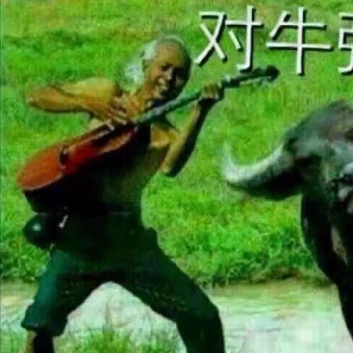流浪哥