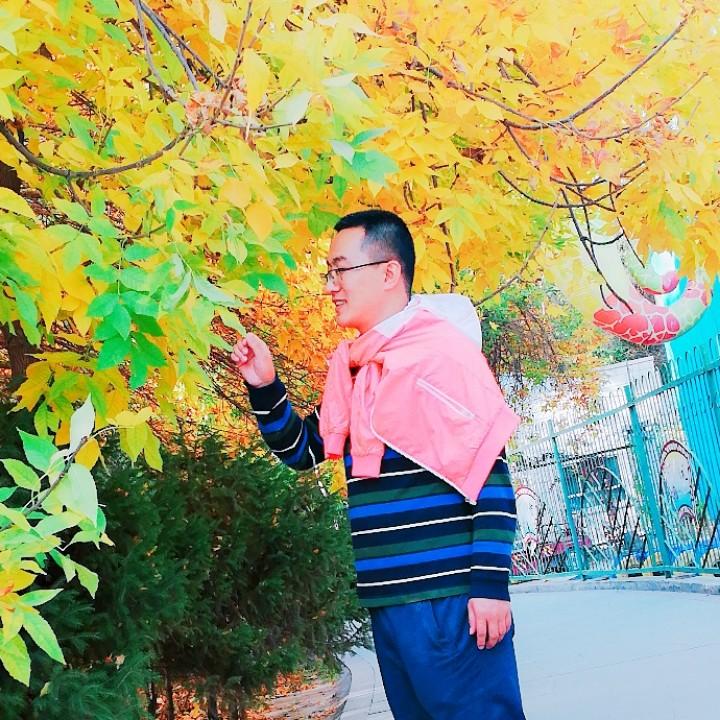 诗与远方的远方