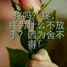 一场游戏一场梦