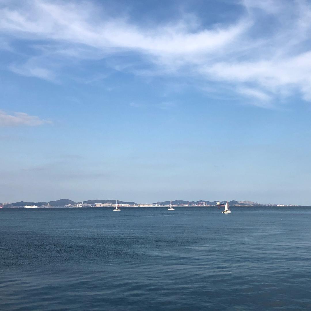 非淡泊无以明志