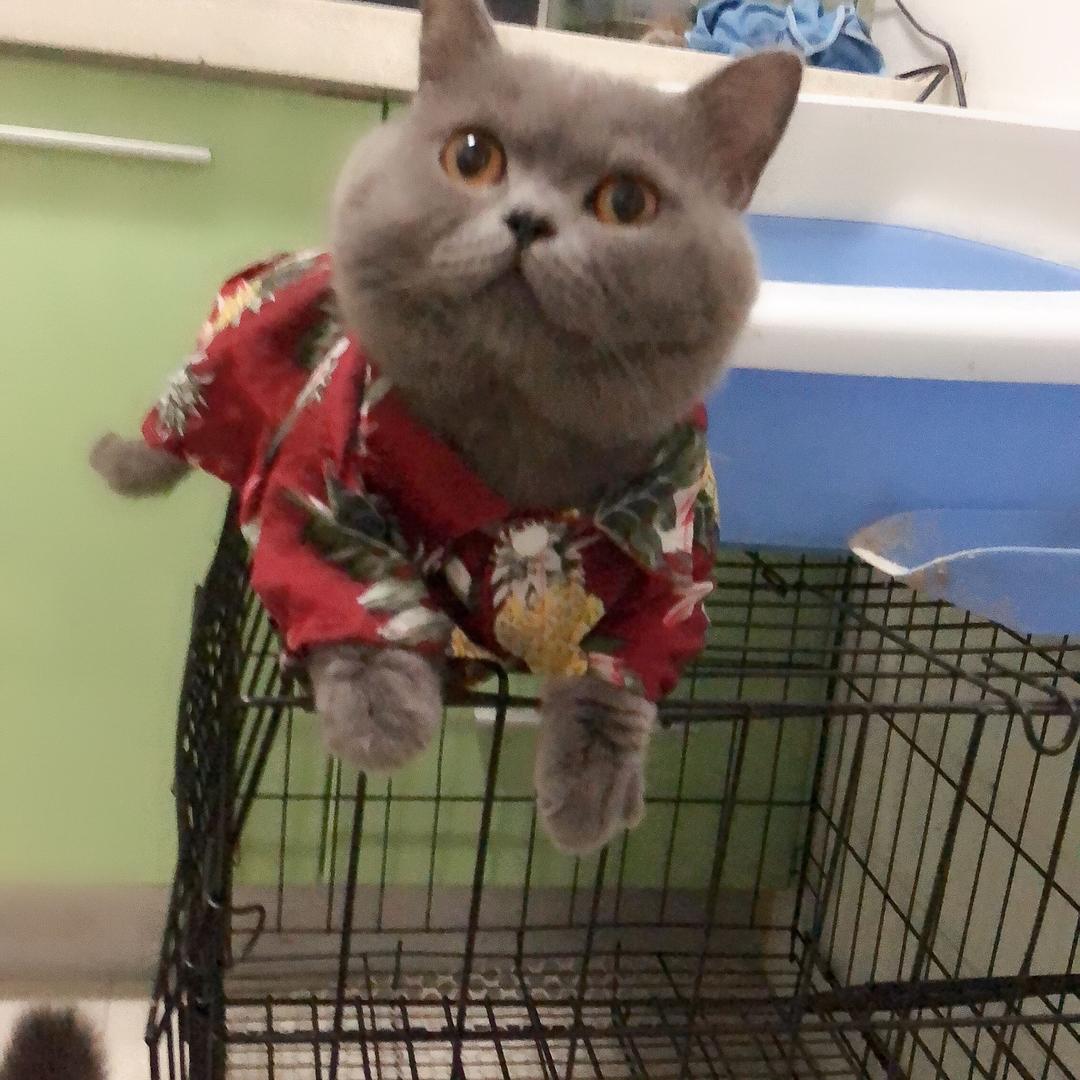 🎀一颗咸鸭蛋🎀