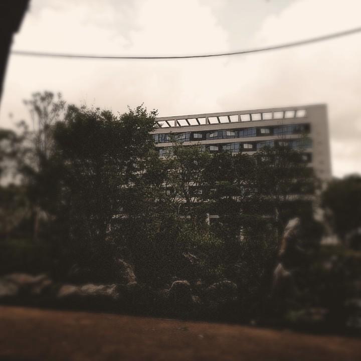 Sky