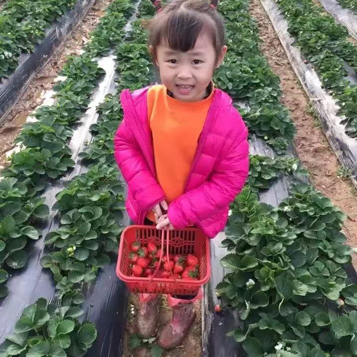 演绎生活