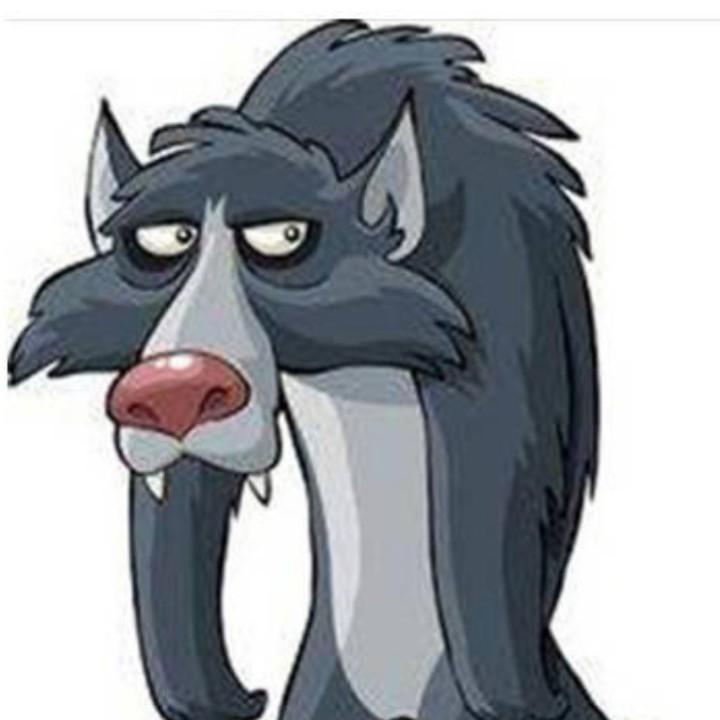 ............