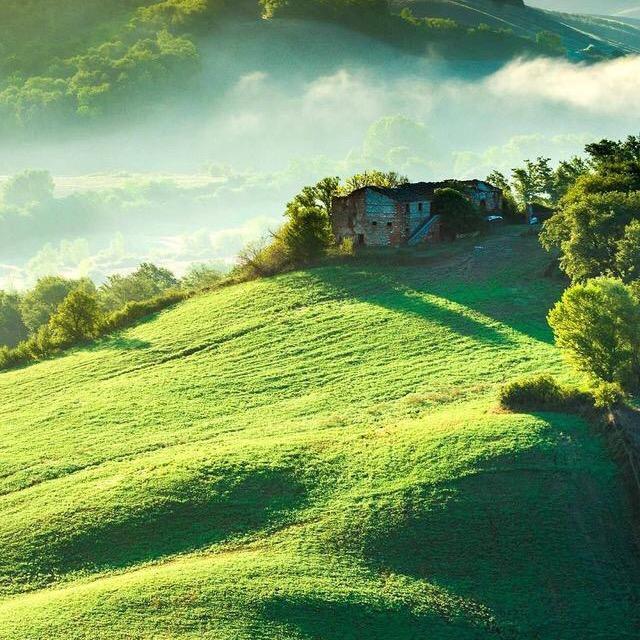 往事随风32556781