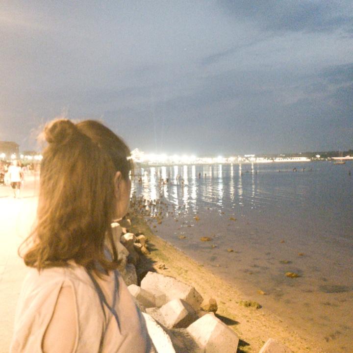 韓锦鲤