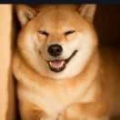 北登²¹⁹⁹🚀