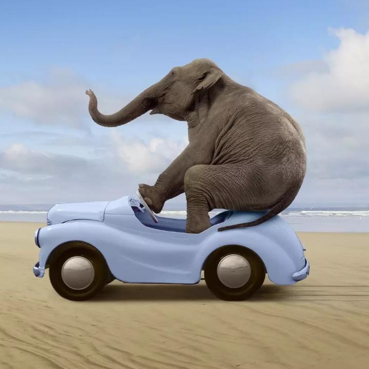 十月小个子孕妇装定制