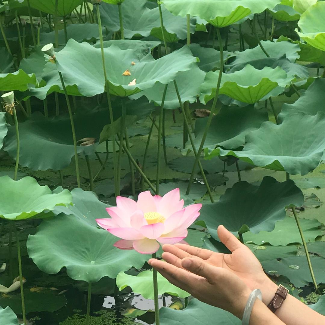 慕古阁 静默