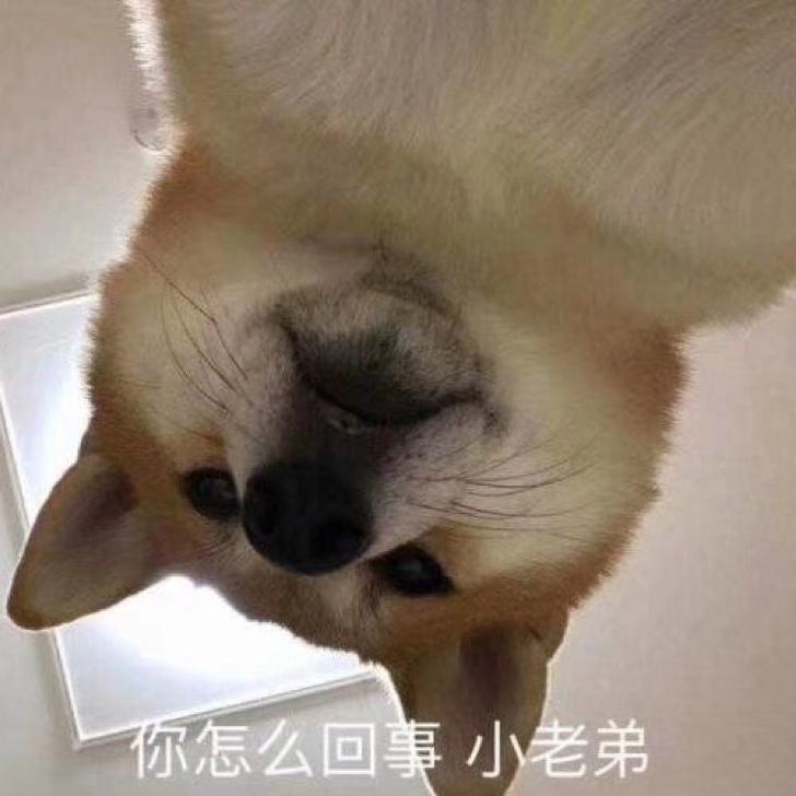叶落知秋