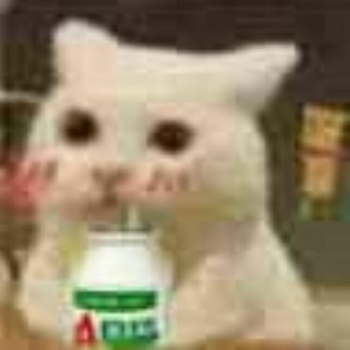 日天兄