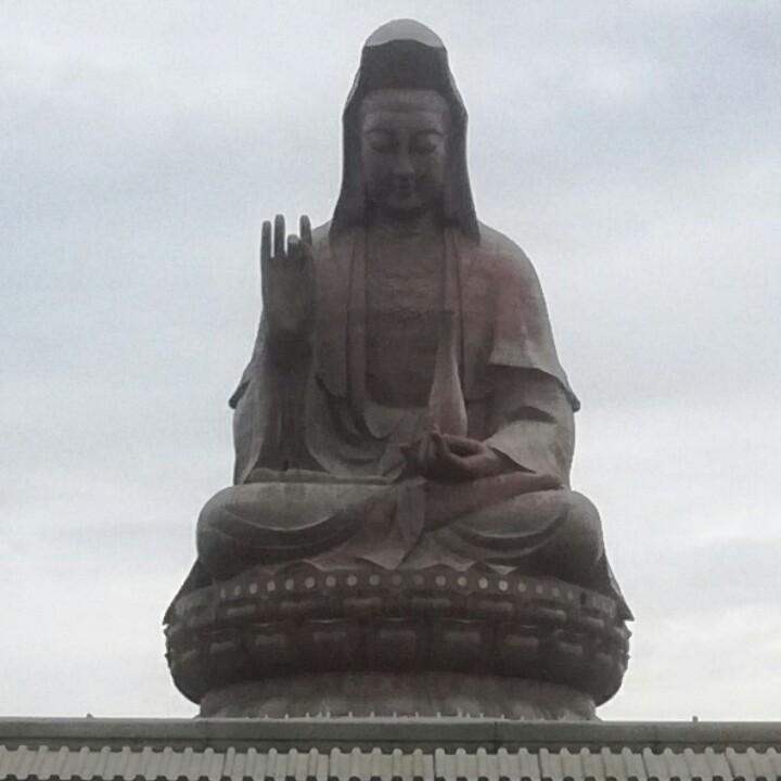 山水情