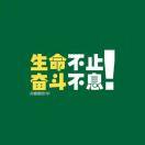 飞翔之鹰