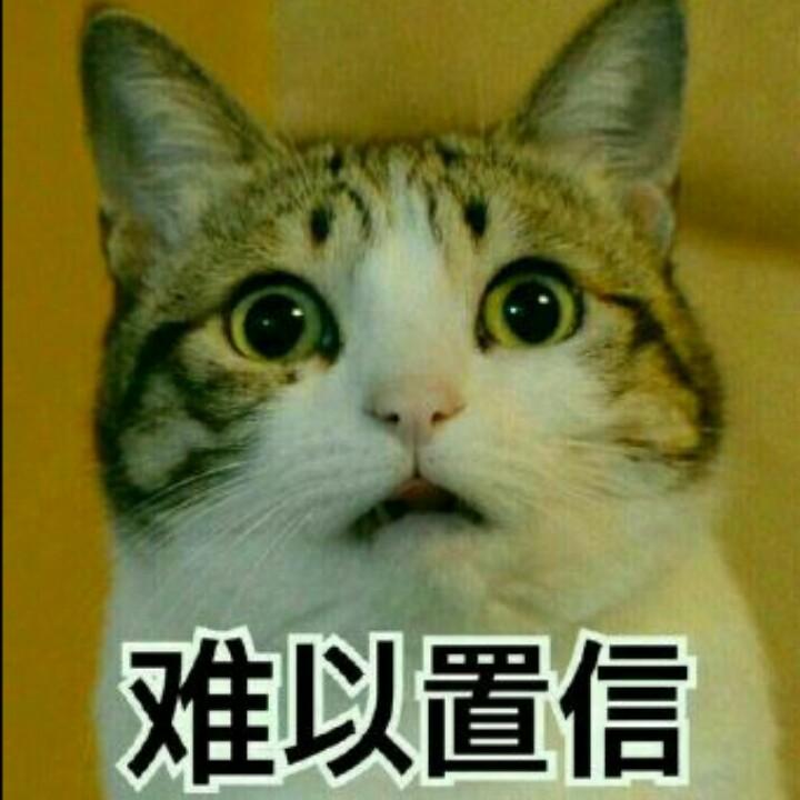风景