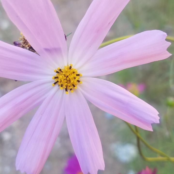 你是我的宝
