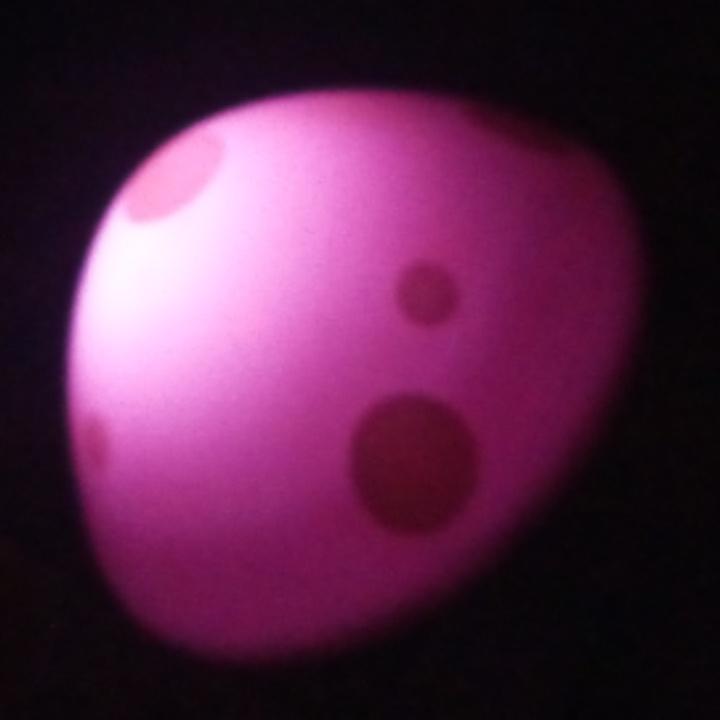 (◍•ᴗ•◍)❤