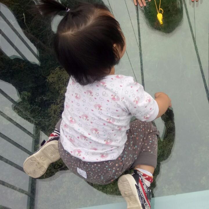 贾
