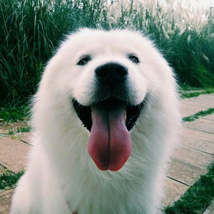 左左七七。