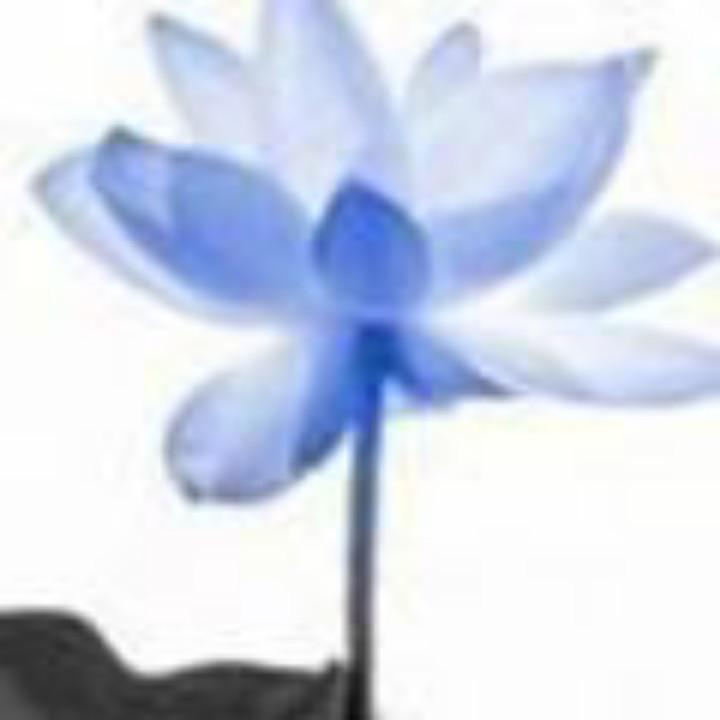 懂你