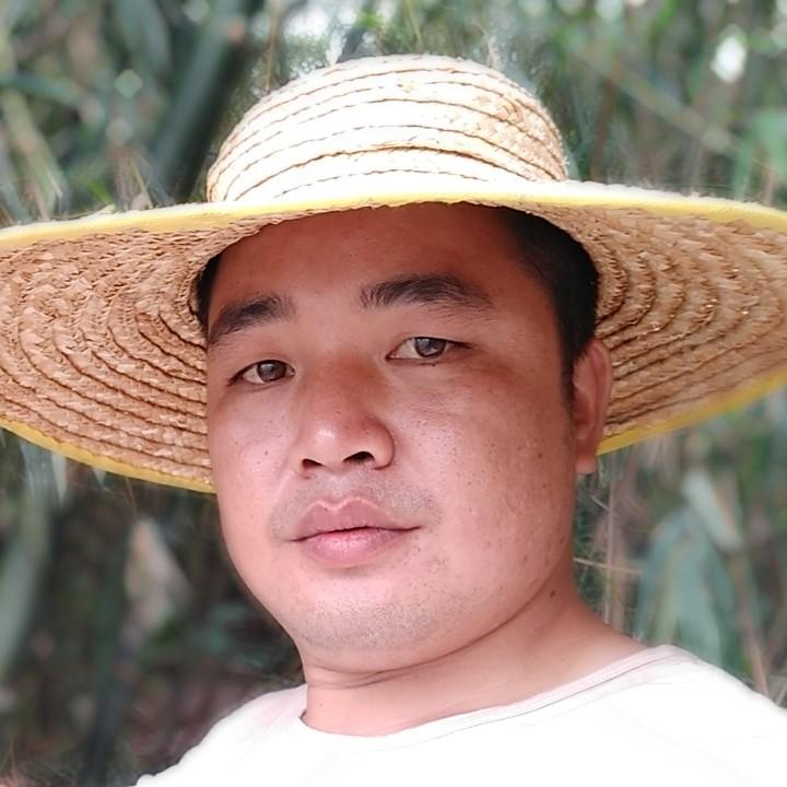 南方许哥