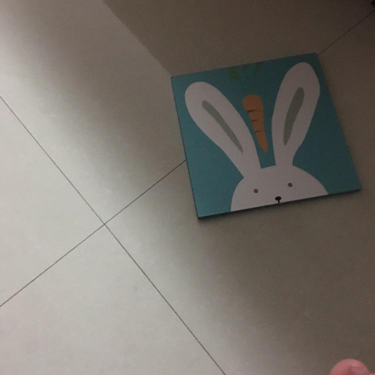 叶子新鲜的