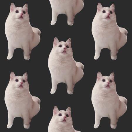 添褔哥