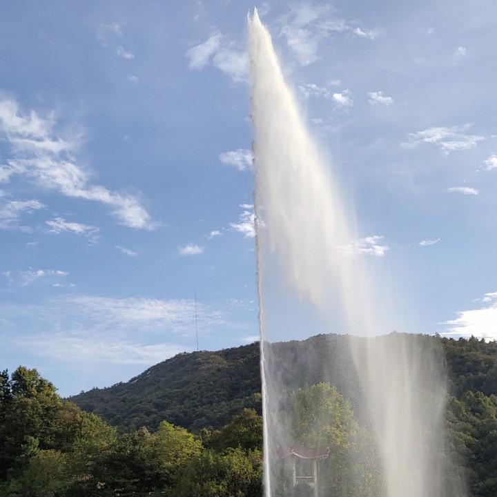 拼博