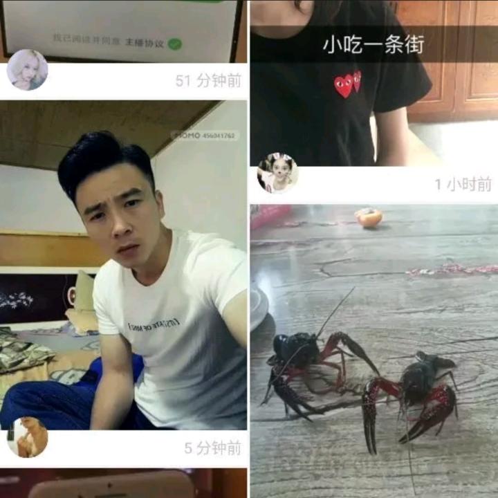 鸽格