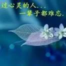 风雨无阻