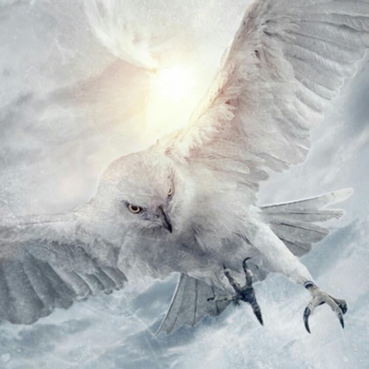 泉州新惠记餐具出租，疯子施