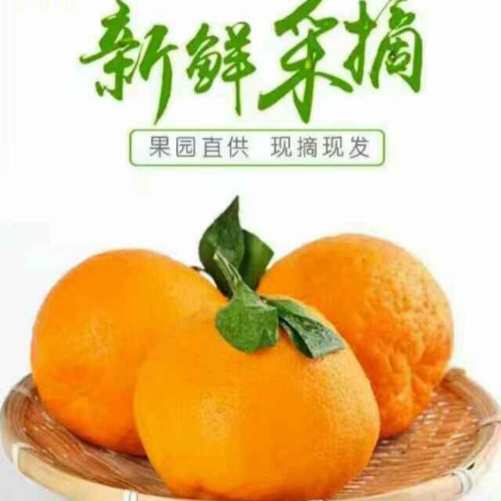 果超鲜家庭农场