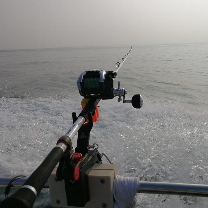 🌈青岛大民🌈