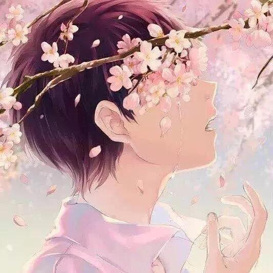 窦豆呀