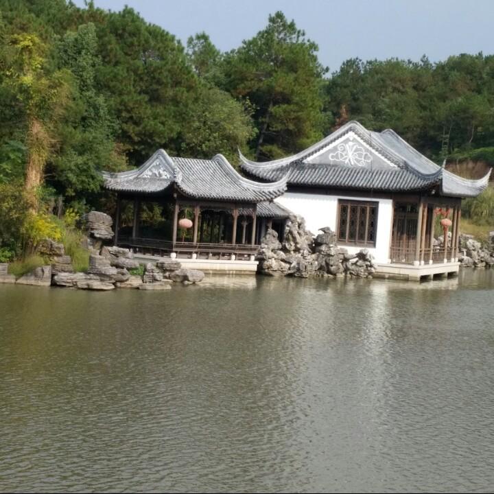 事事岁心橙子