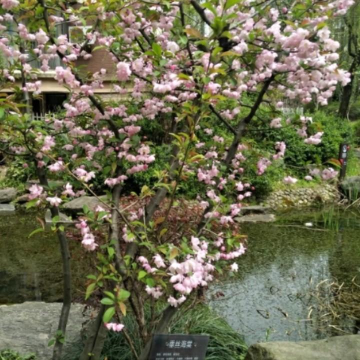 用户121511