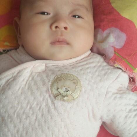小飞燕