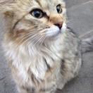 云舞舍舞蹈艺术中心