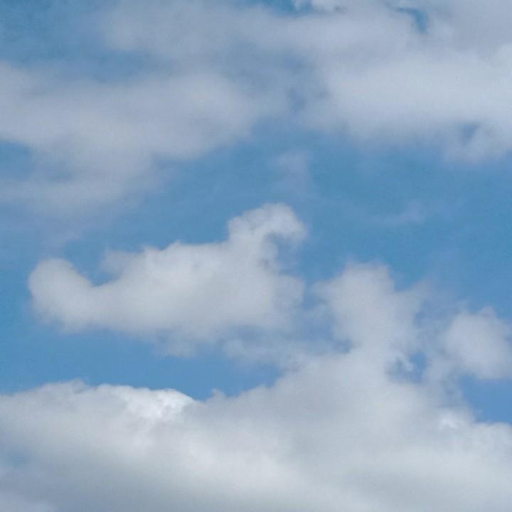 放放