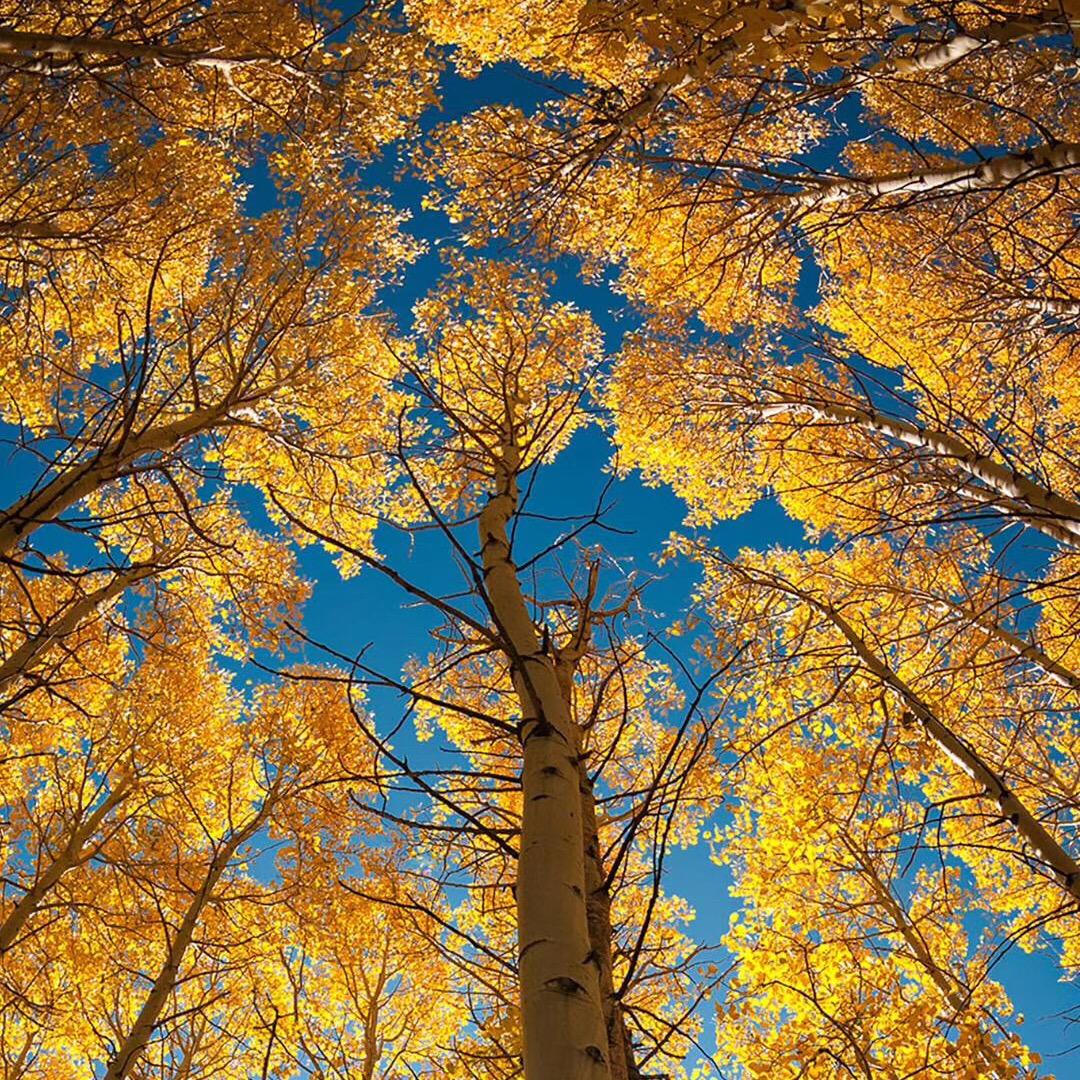 浮生若梦一日醒