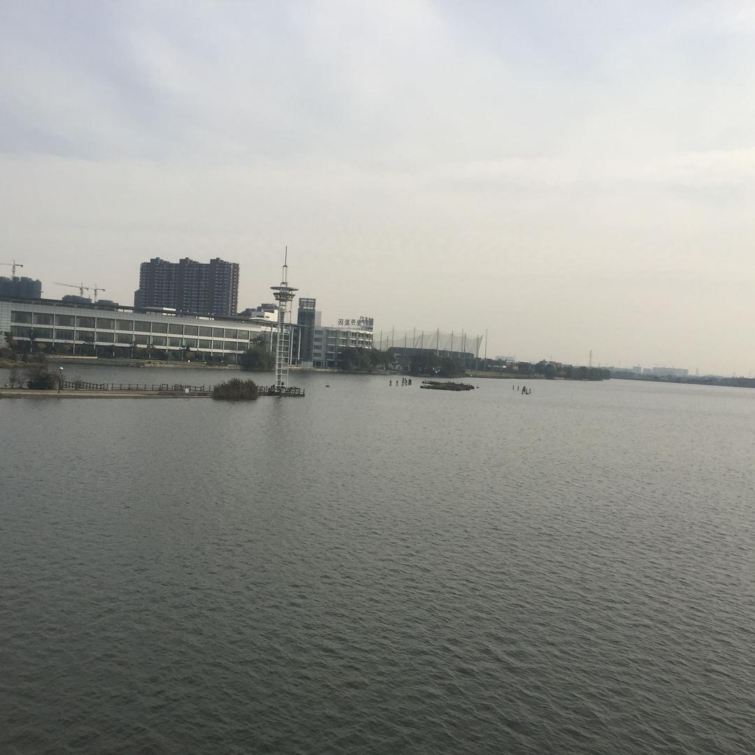 土豆