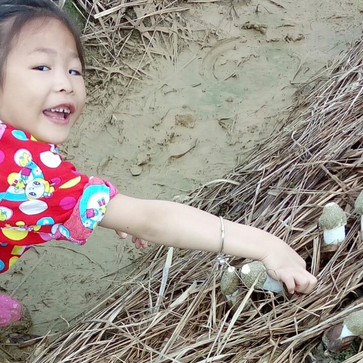 红苹果