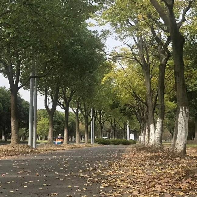 攀登者