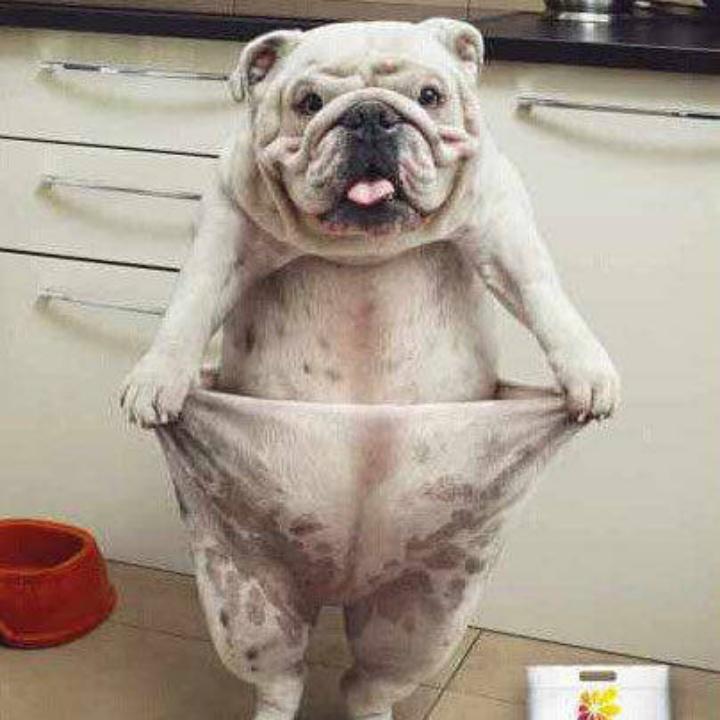 贯穿那一夏的风