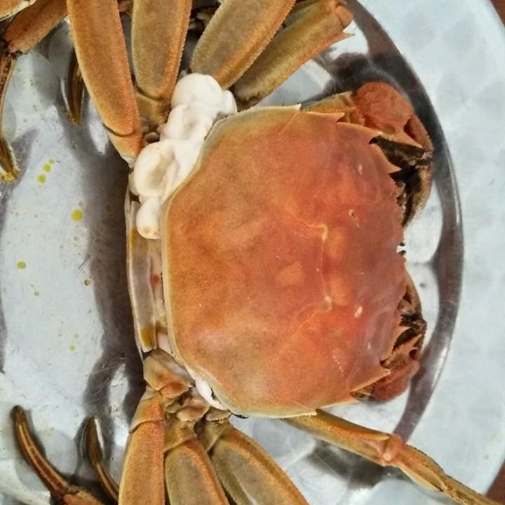 鑨少3